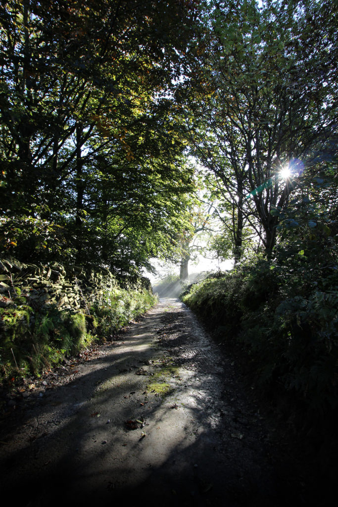 Ridgetop Lane Misty Sun Sparkle - Picture of sun rays shining on Ridgetop Lane in Hayfield, Peak District - photo by gavstretchy